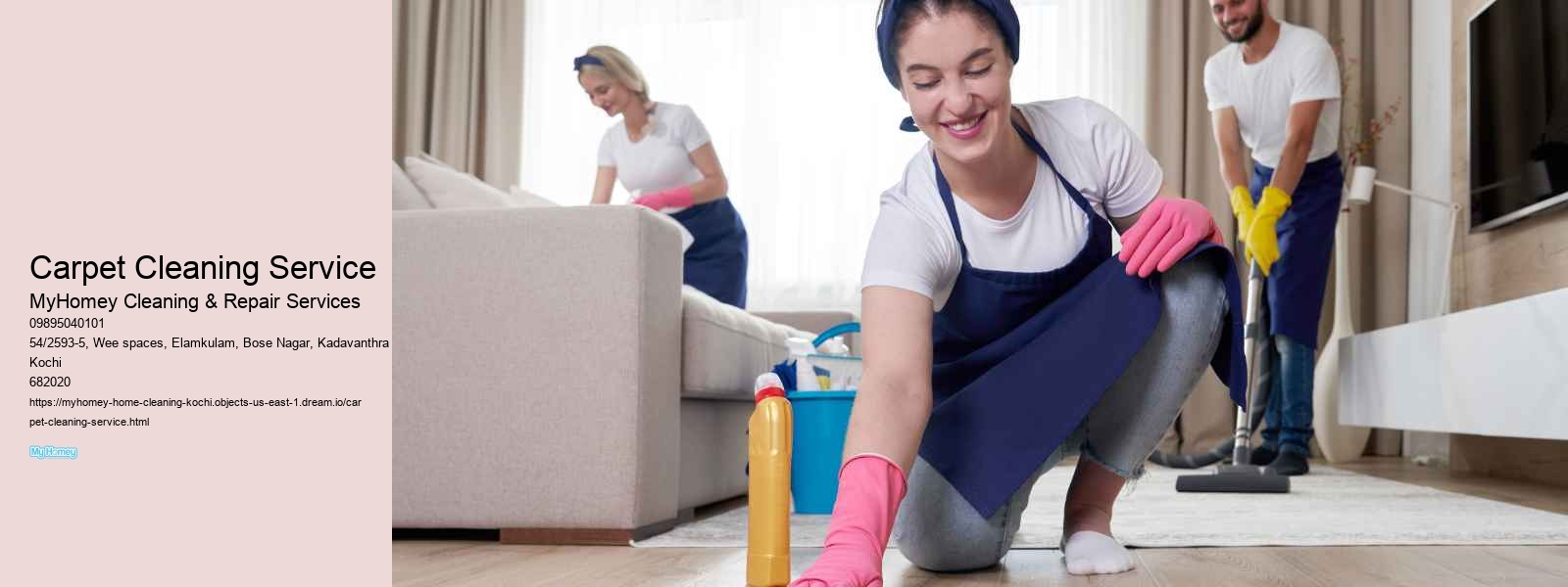 Carpet Cleaning Service